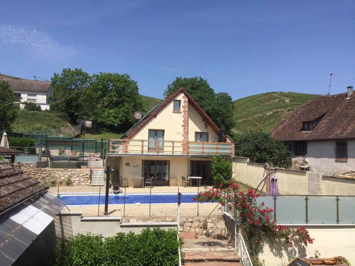 Les Gites 2-4 Pers Remy Herold Katzenthal 外观 照片