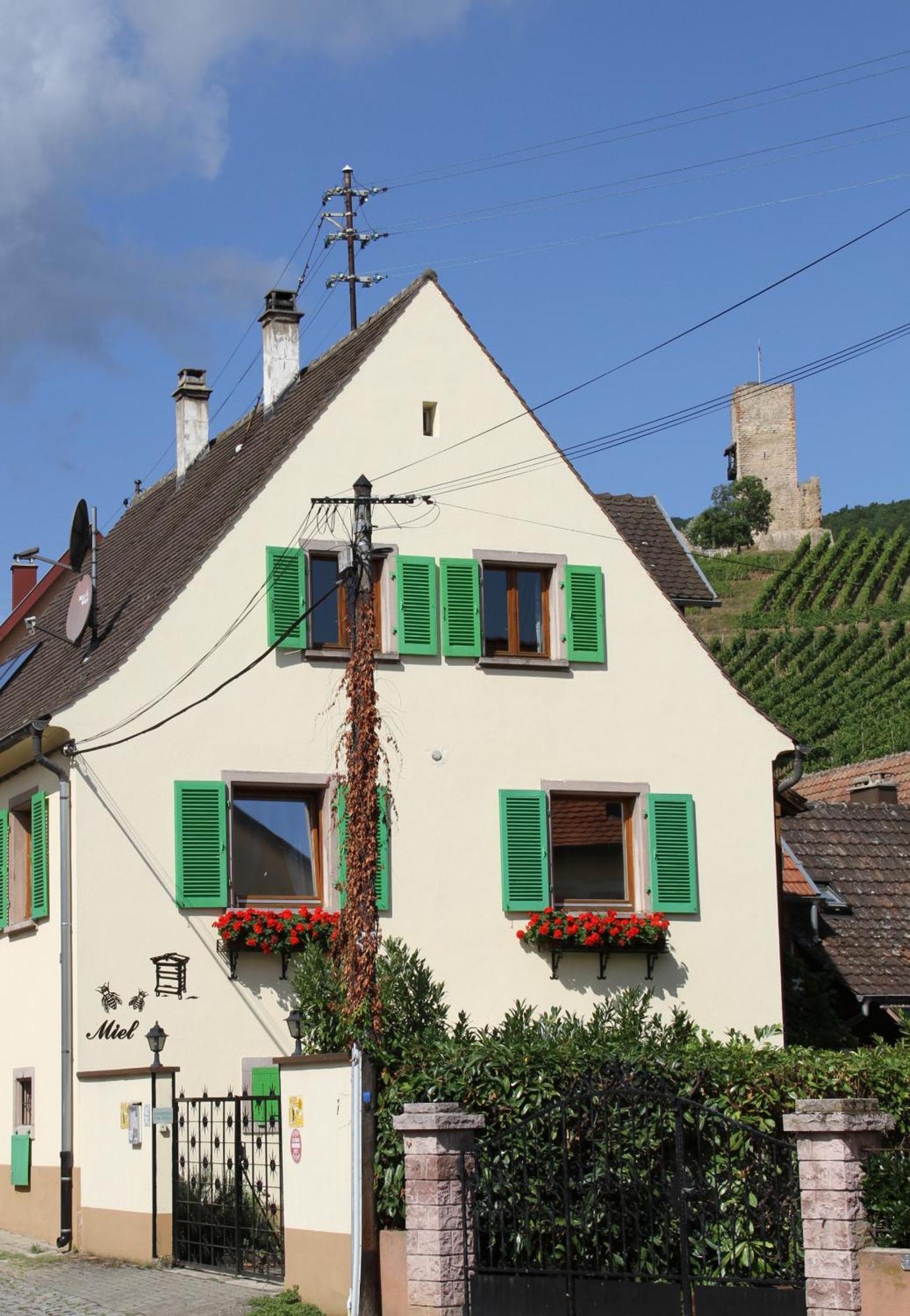 Les Gites 2-4 Pers Remy Herold Katzenthal 外观 照片