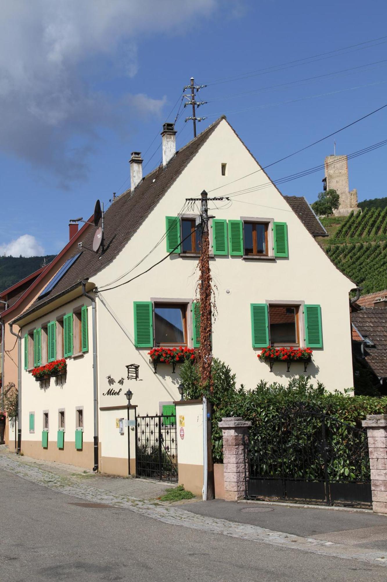 Les Gites 2-4 Pers Remy Herold Katzenthal 外观 照片